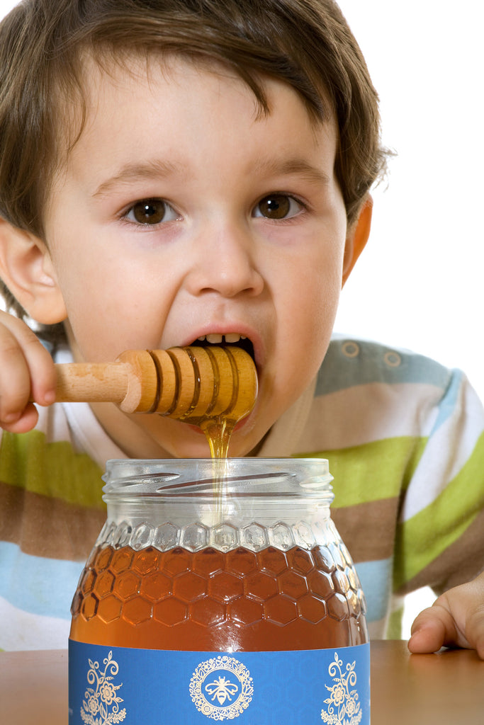 Raw Pyrenees (Mountain) Honey - 1kg